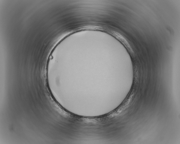 X0000110970852200907171709