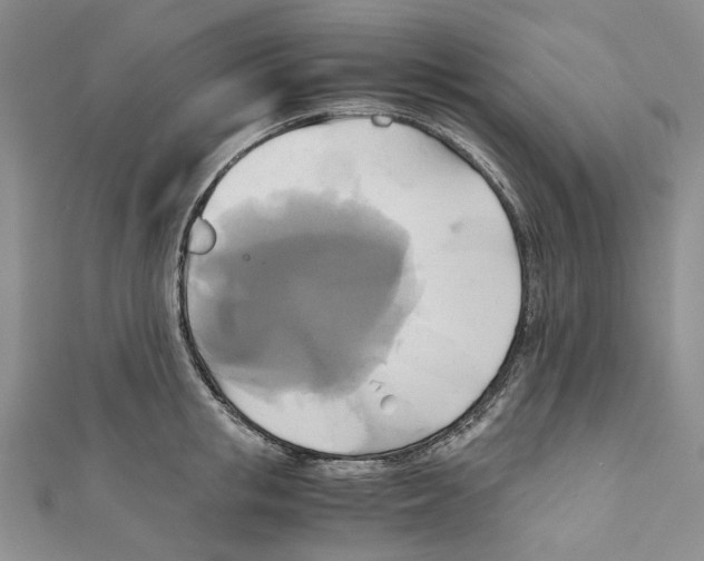 X0000110970853200907171709