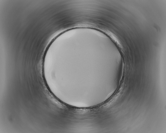 X0000110970854200907171709