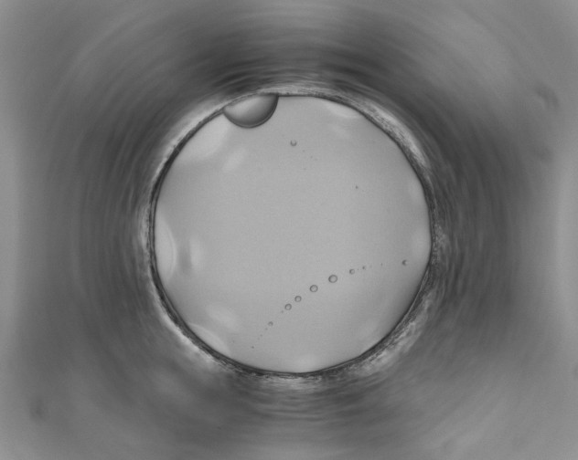 X0000110970855200907171709