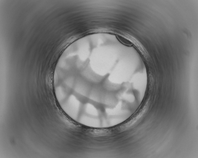 X0000110970857200907171709
