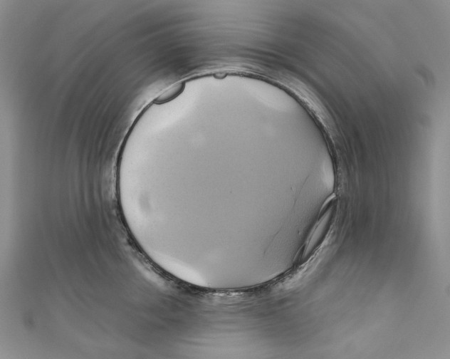 X0000110970858200907171709