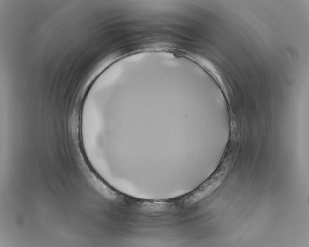 X0000110970859200907171709