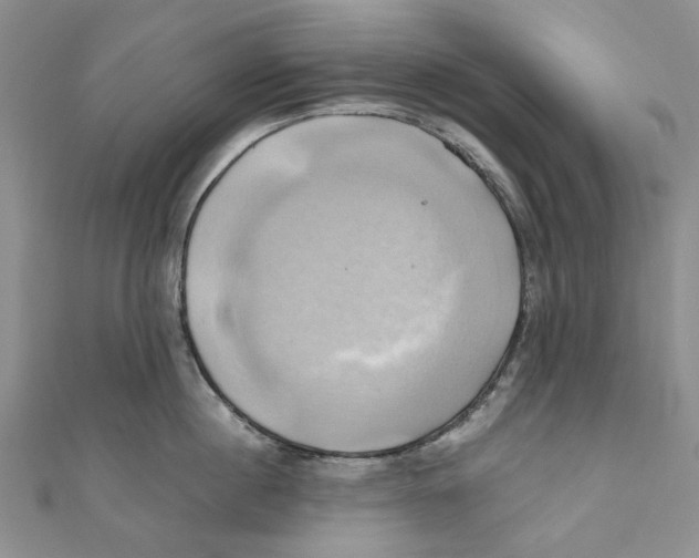X0000110970860200907171709