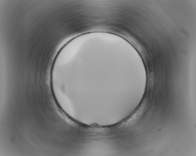 X0000110970862200907171709
