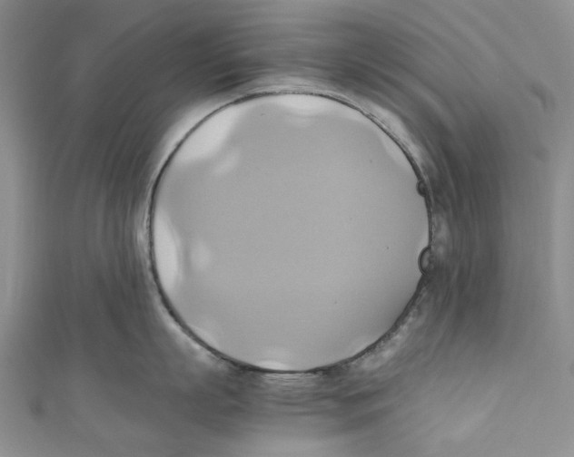 X0000110970863200907171709