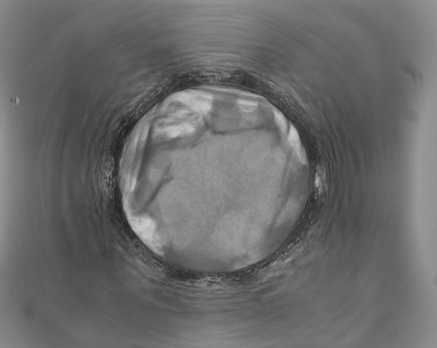 X0000110970867200907171708