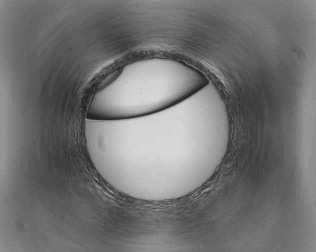 X0000110970872200907171708