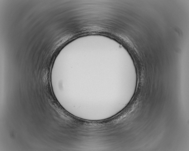 X0000110970873200907171708