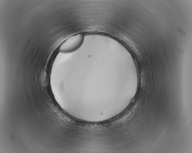 X0000110970876200907171708