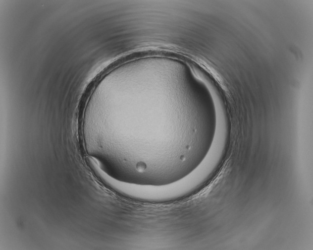 X0000110970877200907171708