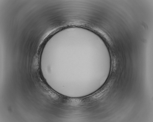 X0000110970878200907171708