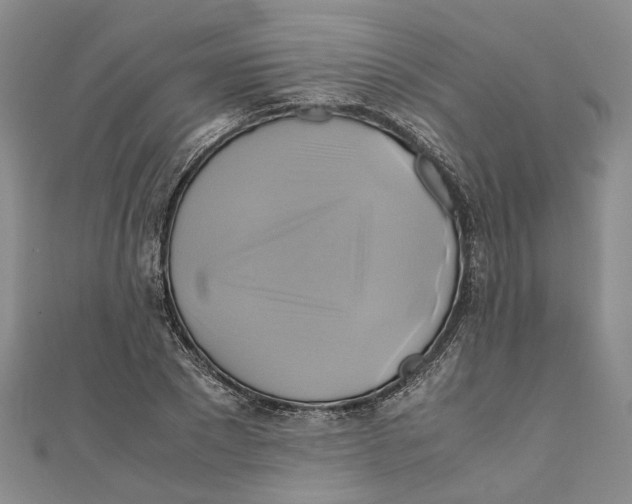X0000110970881200907171708