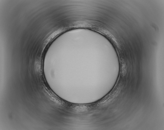 X0000110970882200907171708