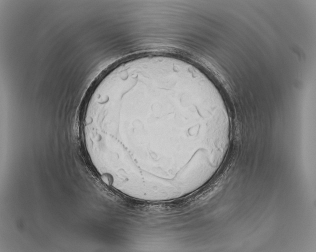 X0000110970883200907171708