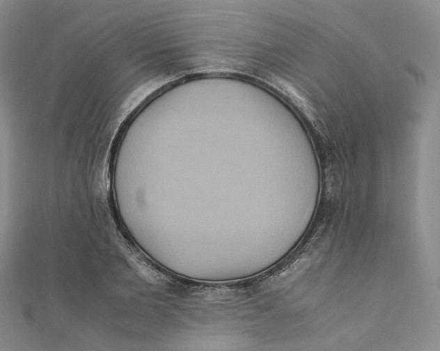 X0000110970885200907171708