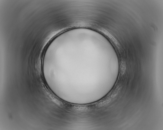 X0000110970886200907171708