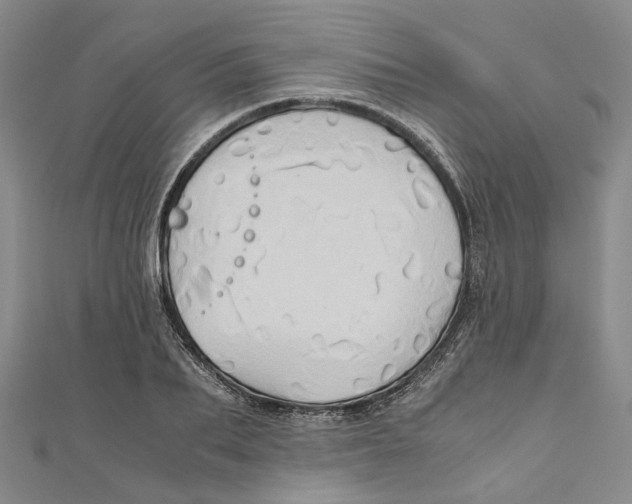 X0000110970887200907171708