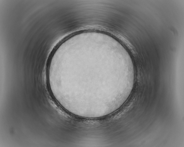 X0000110970888200907171708