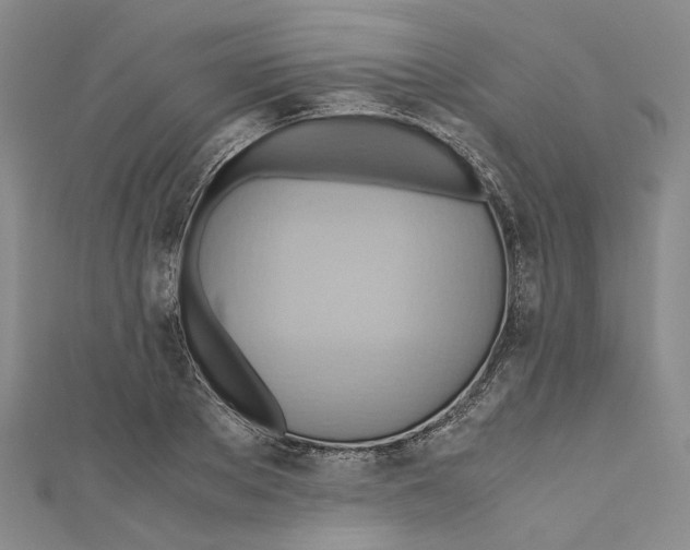 X0000110970889200907171708