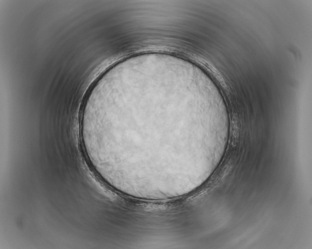 X0000110970890200907171708