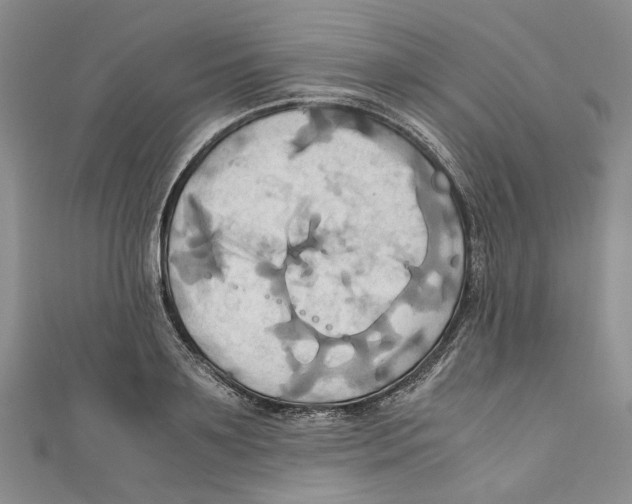 X0000110970891200907171708