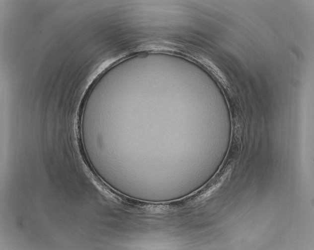 X0000110970893200907171708