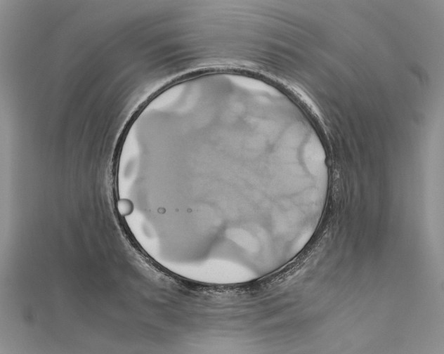 X0000110970895200907171708