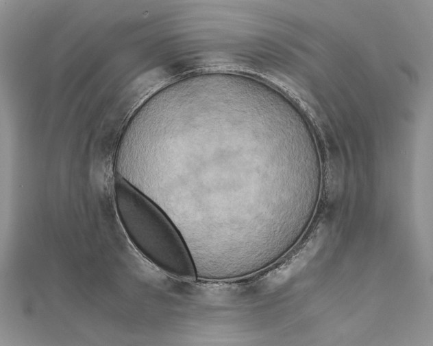 X0000110970897200907171708