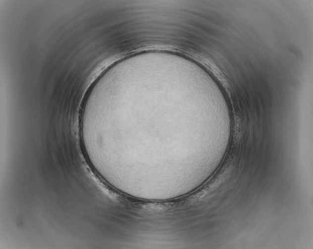 X0000110970898200907171708