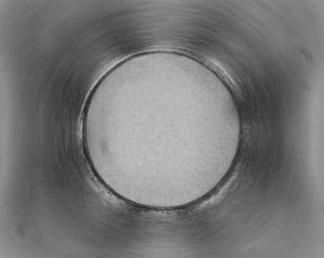 X0000110970900200907171708
