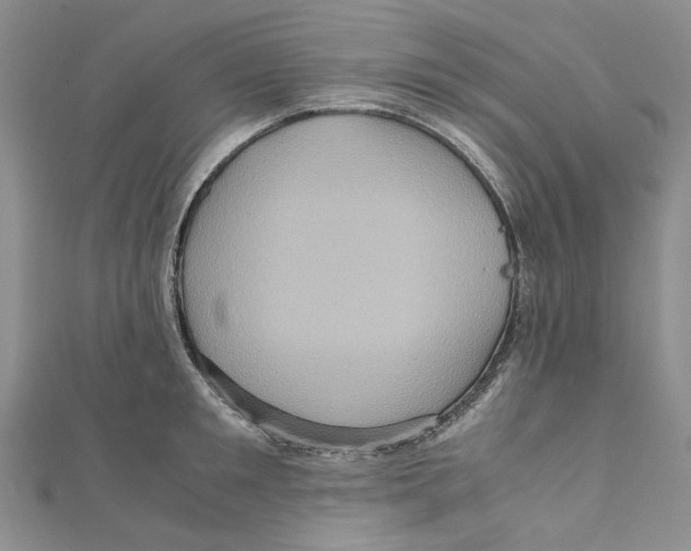 X0000110970901200907171708