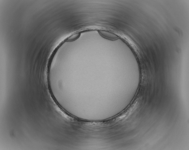 X0000110970902200907171708