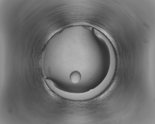X0000110970905200907171708