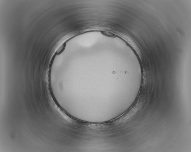 X0000110970906200907171708