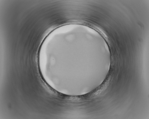 X0000110970907200907171708