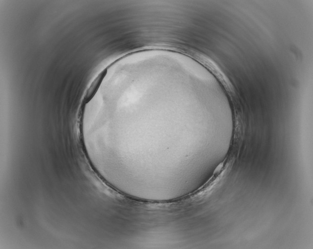 X0000110970908200907171708