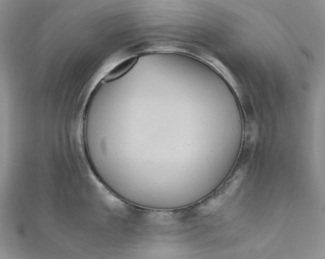 X0000110970909200907171708