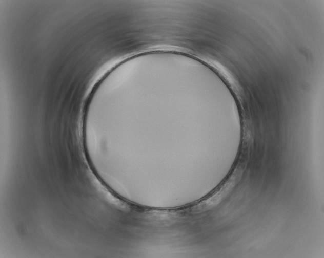 X0000110970910200907171708