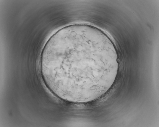 X0000110970911200907171708
