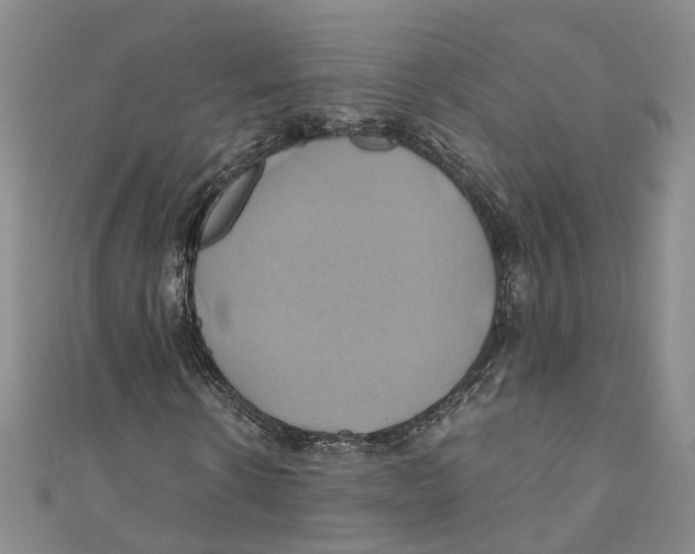 X0000110970914200907171707
