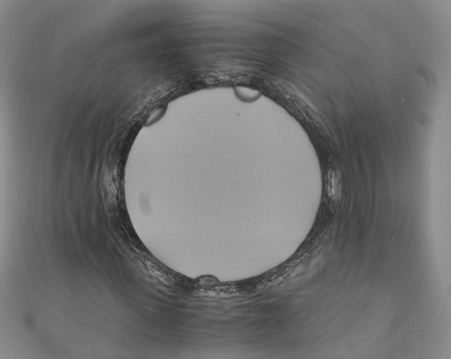 X0000110970915200907171707
