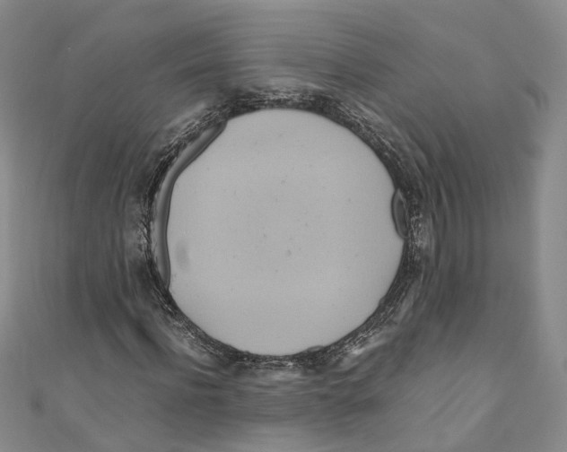 X0000110970916200907171707