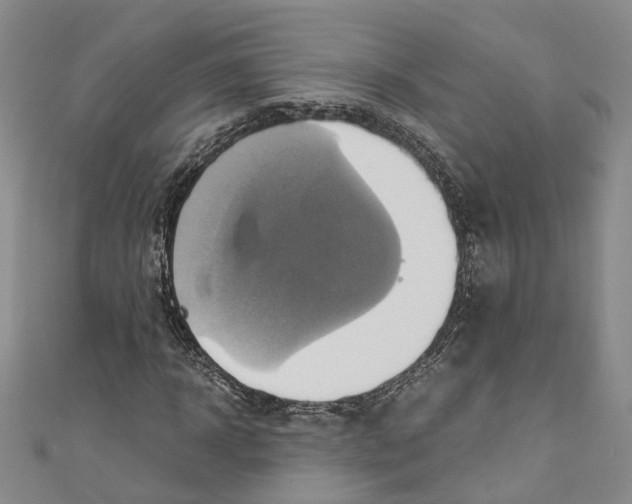 X0000110970918200907171707