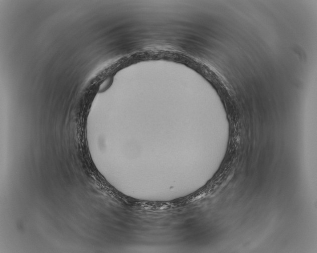 X0000110970919200907171707