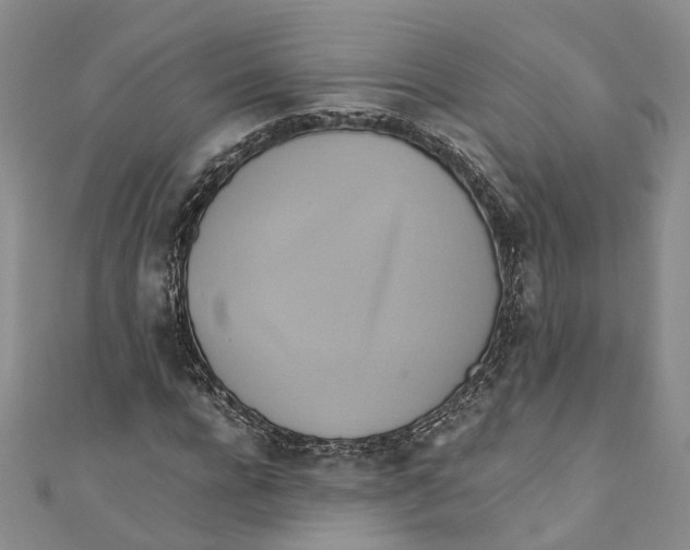 X0000110970920200907171707