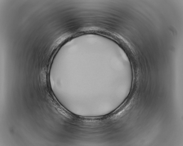 X0000110970921200907171707