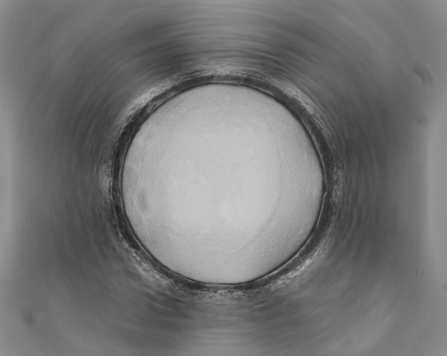 X0000110970922200907171707