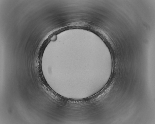 X0000110970923200907171707