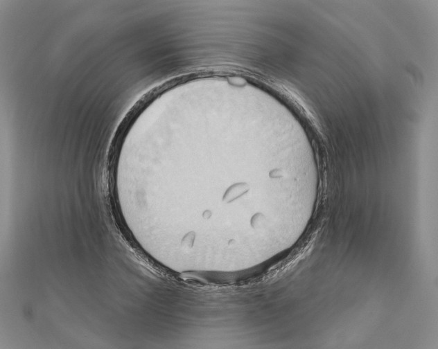 X0000110970924200907171707